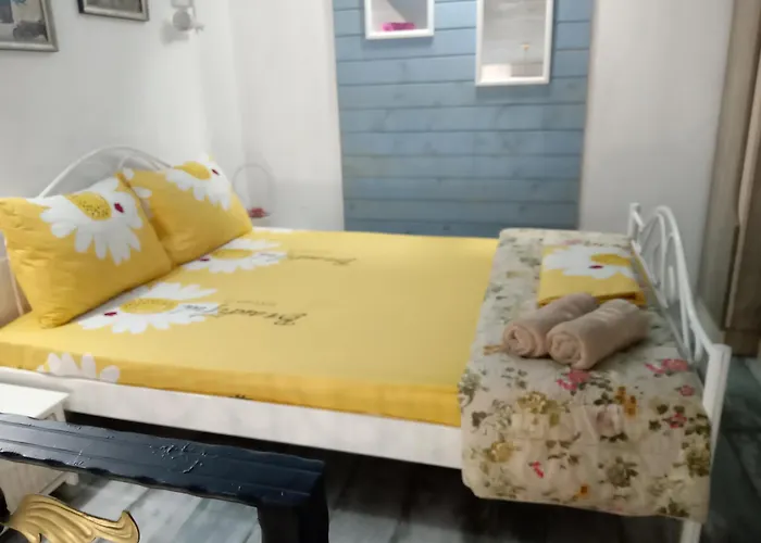 Cosy House